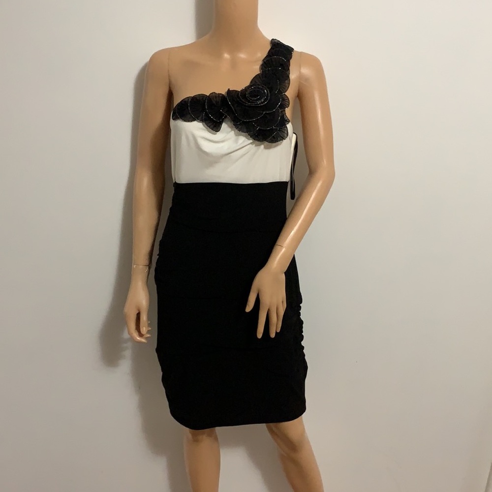 Colletion Dressbarn Woman’s Dress.